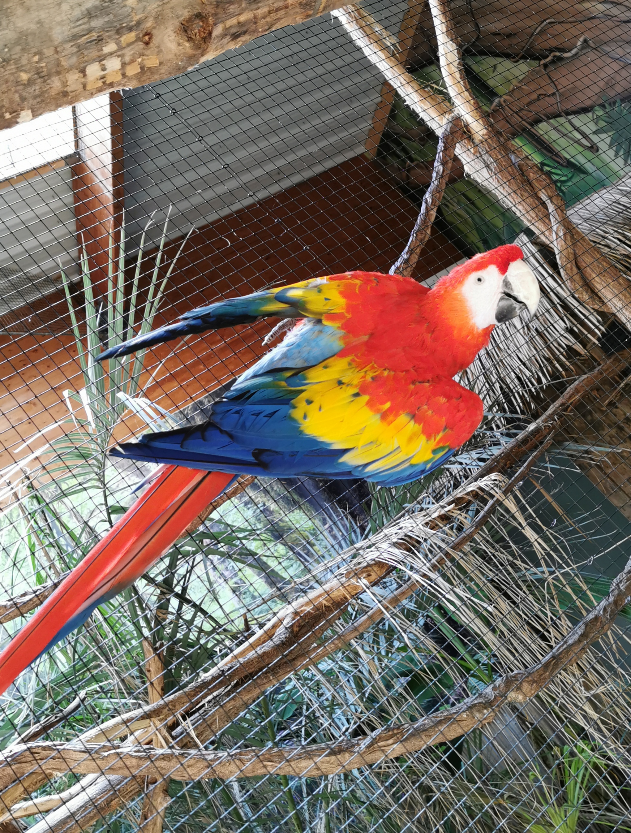 Photo n° 1 de l'avis de Sylvain.i fait le 03/09/2020 à 11:35