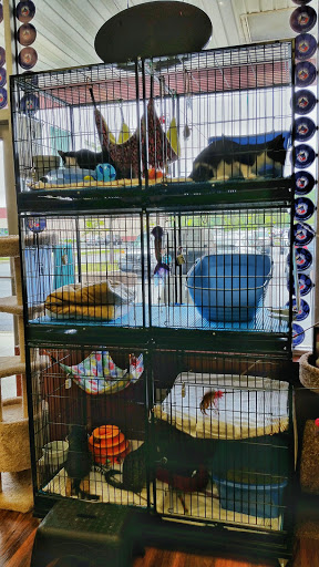 Pet Store «Pet Valu», reviews and photos, 604 Plaza Dr, Newark, DE 19702, USA