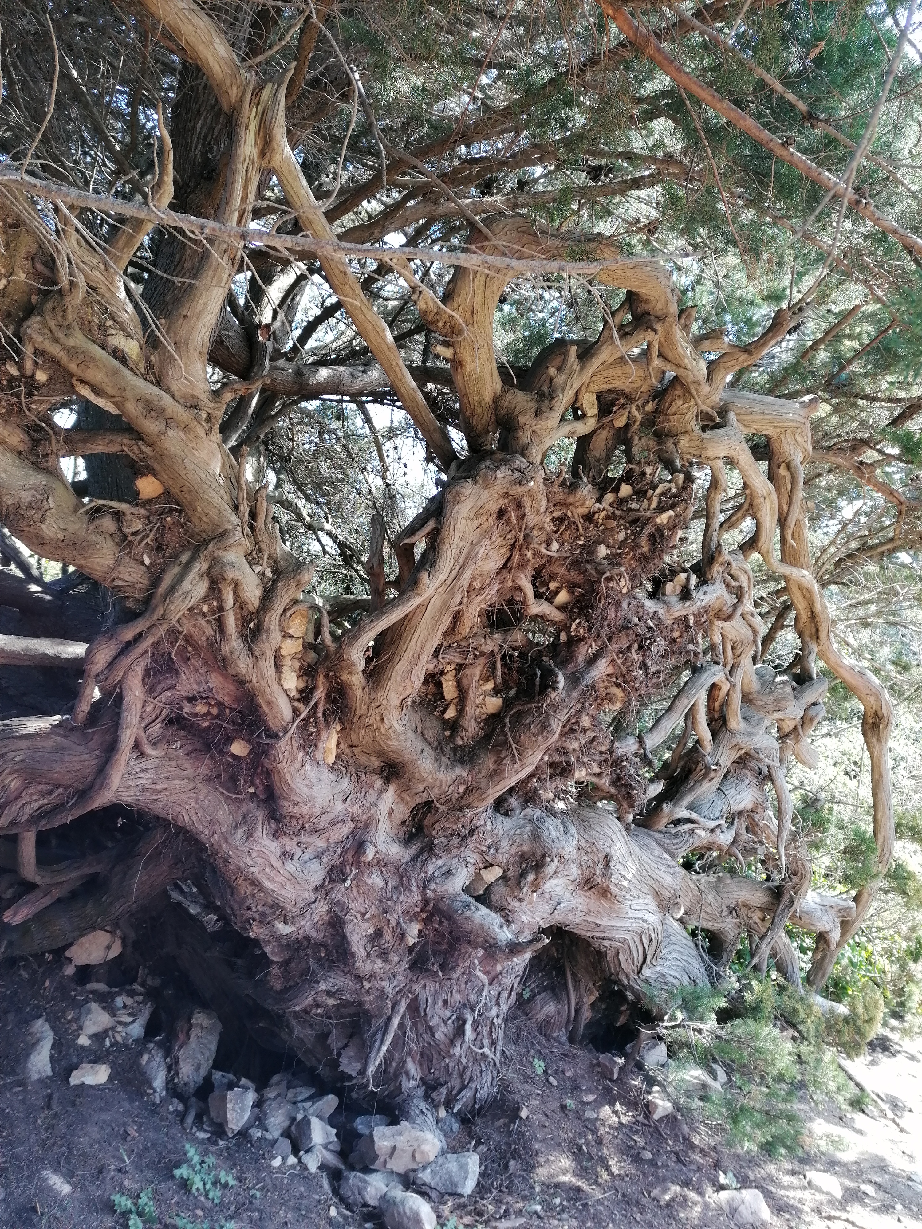 Photo n° 9 de l'avis de F. fait le 28/03/2021 à 13:44
