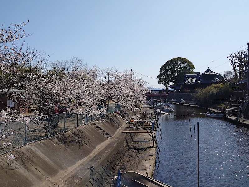 西大寺 向州公園 桜並木