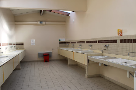 Imagen de la galería