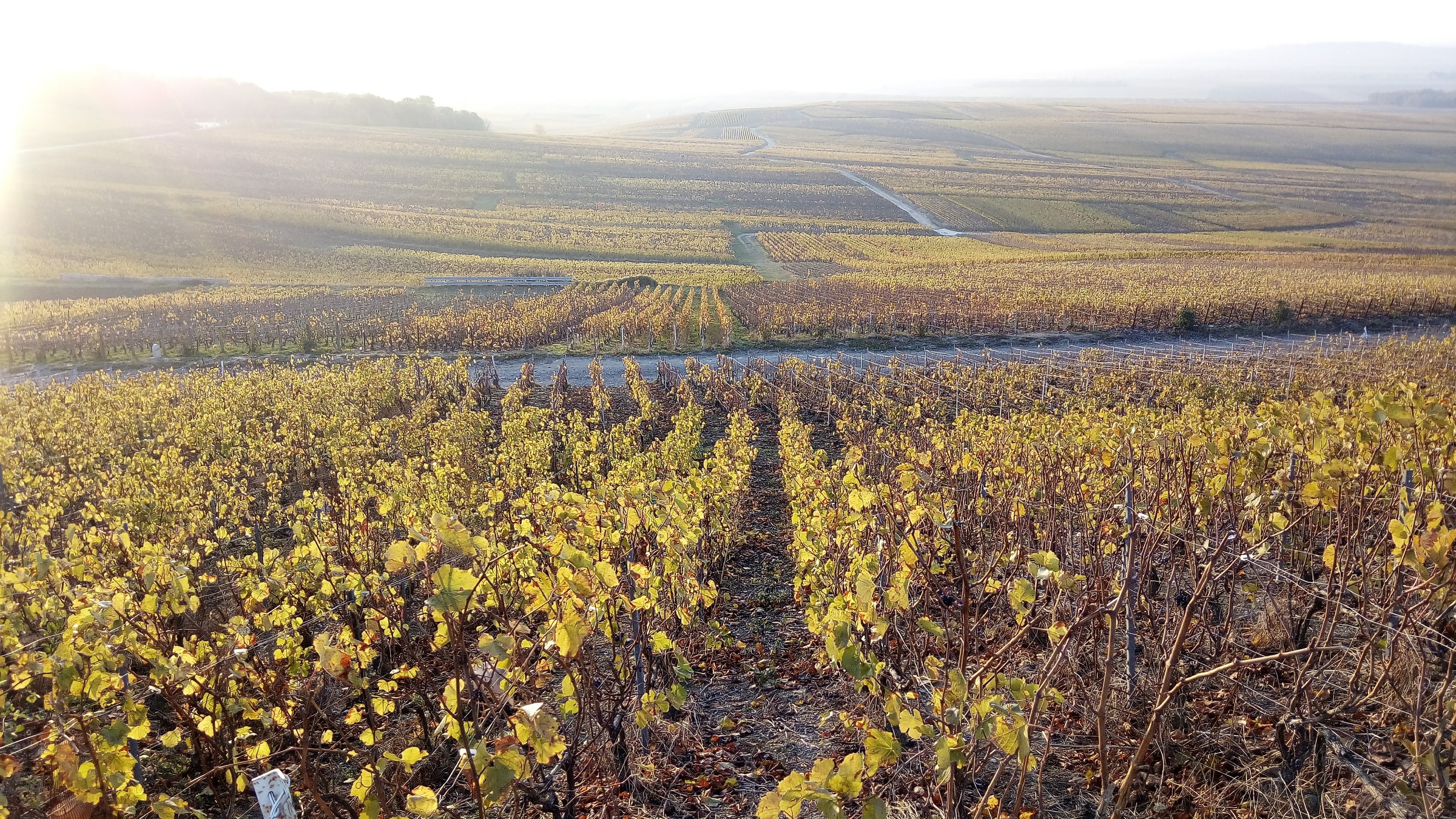 Photo n° 1 de l'avis de Jerome.i fait le 21/01/2019 à 11:52