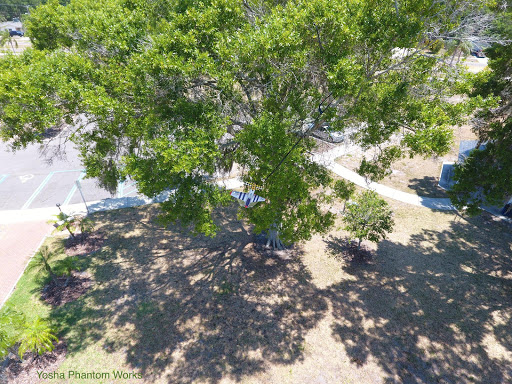 Memorial Park «Veterans Memorial Park», reviews and photos, 250 Shore Dr E, Oldsmar, FL 34677, USA