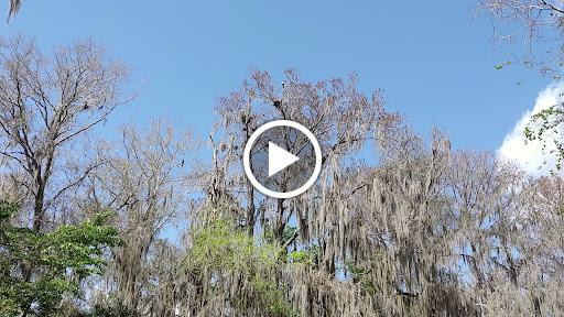 Event Venue «Tavares Pavilion on the Lake», reviews and photos, 200 S Disston Ave, Tavares, FL 32778, USA