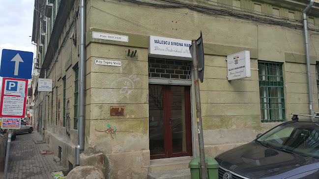 Malescu Simona Mariana