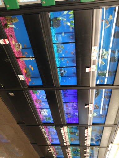 Pet Supply Store «Pet Supplies Plus», reviews and photos, 2410 Augusta Rd, West Columbia, SC 29169, USA