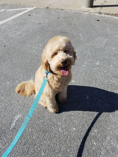 Pet Supply Store «Petco Animal Supplies», reviews and photos, 103 Commerce Way a, Woburn, MA 01801, USA