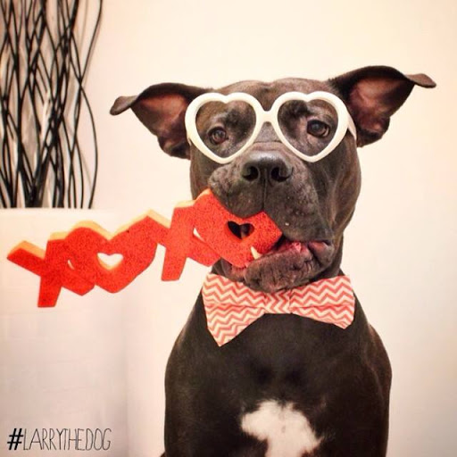 Employment Agency «Express Employment Professionals - Tacoma, WA», reviews and photos, 5821 S Sprague Ct #101, Tacoma, WA 98409, USA