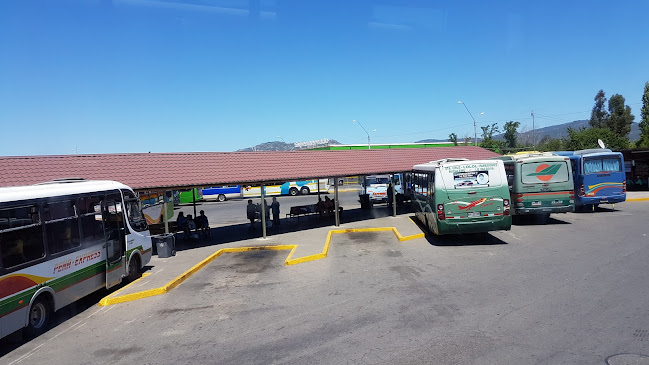 Terminal De Buses De Santa Cruz - Servicio de transporte