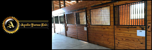 Horse Trainer «Apollo Farms Ltd.», reviews and photos, 3070 Summer Mountain Rd, Palmerton, PA 18071, USA