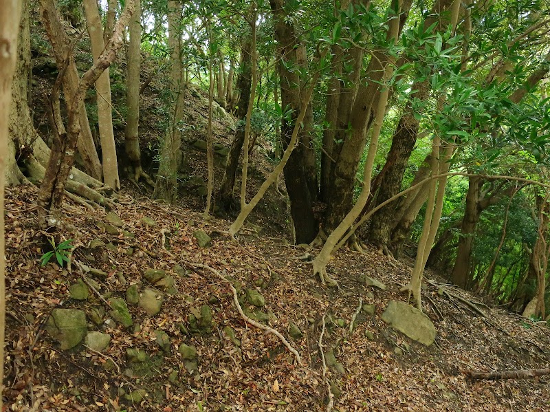 藤原城跡