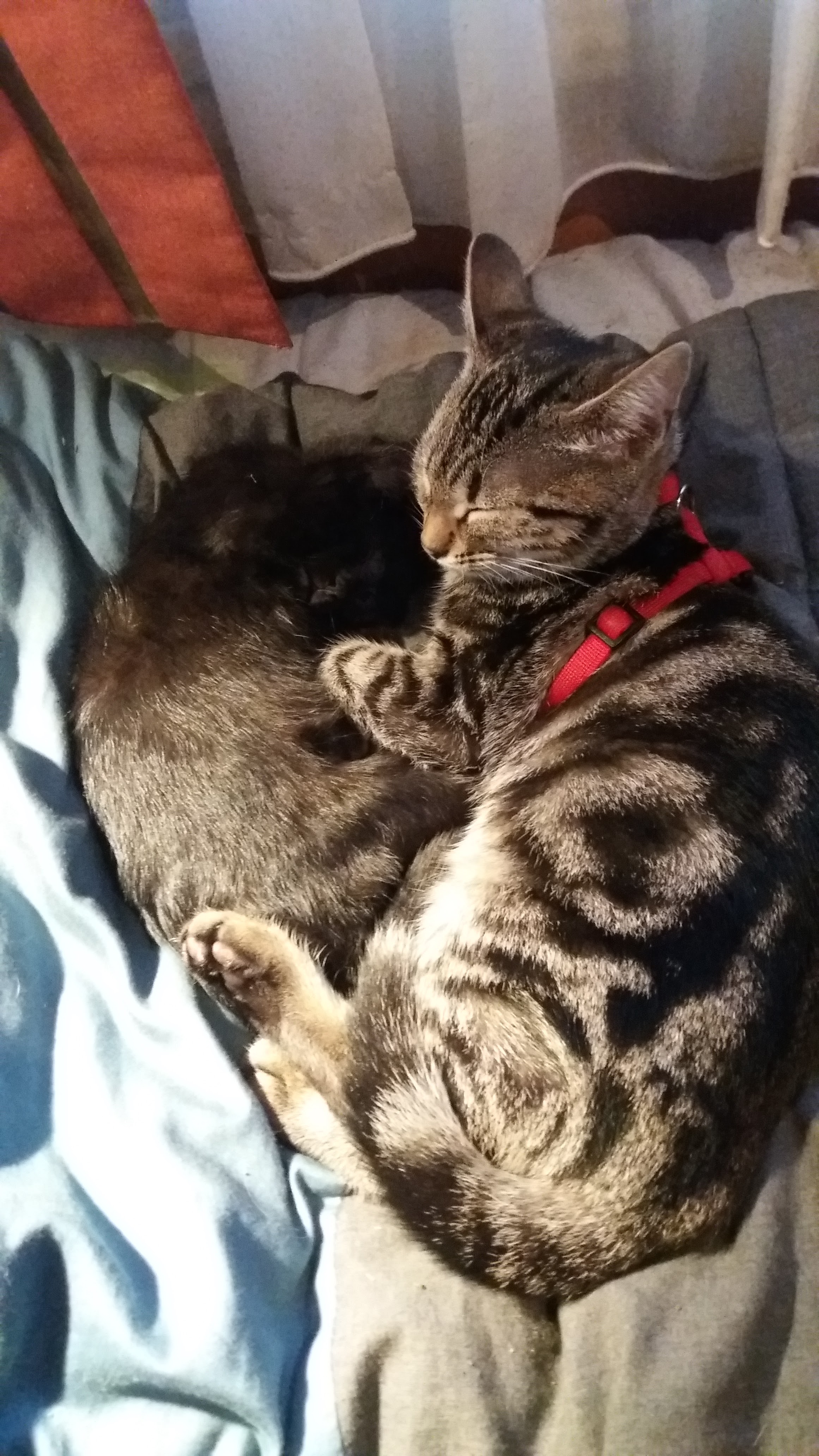 Photo n° 1 de l'avis de Kerjean.n fait le 10/11/2018 à 20:39