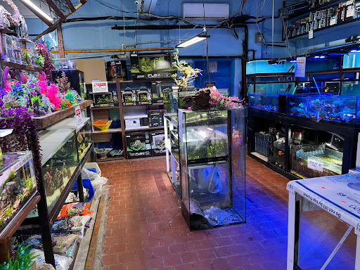 Aquarium «Pacific Aquarium & Plant Inc», reviews and photos, 46 Delancey St #1, New York, NY 10002, USA