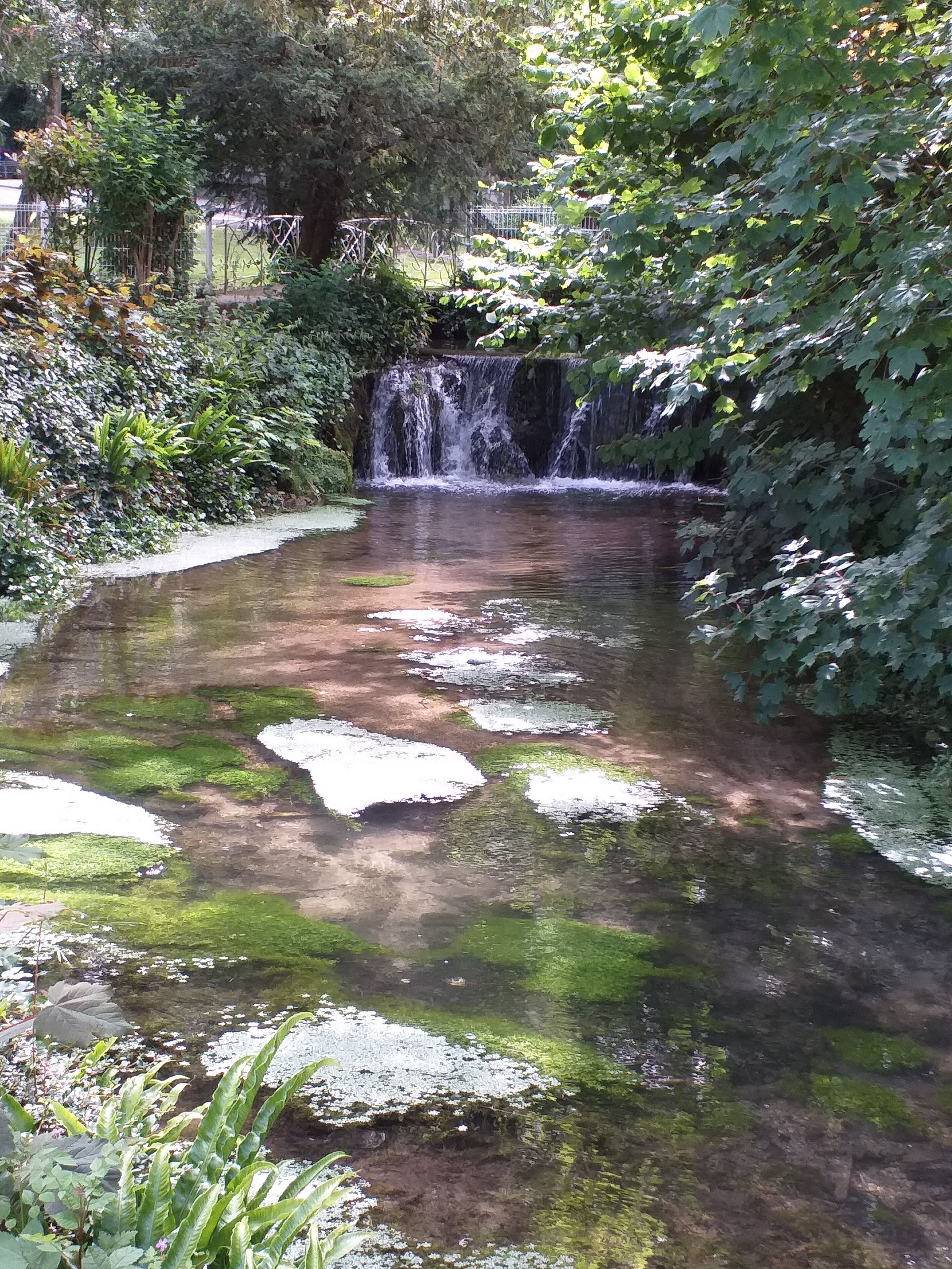 Photo n° 2 de l'avis de Sylvie.h fait le 20/06/2019 à 17:51