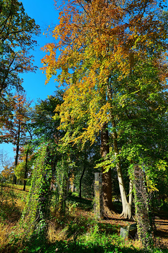 Art Museum «The Kreeger Museum», reviews and photos, 2401 Foxhall Rd NW, Washington, DC 20007, USA