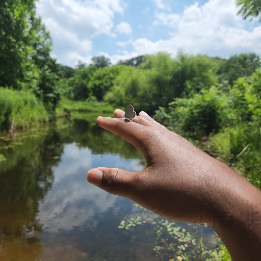 Park «Meadowbrook Park», reviews and photos, 5001 Meadowbrook Ln, Ellicott City, MD 21043, USA