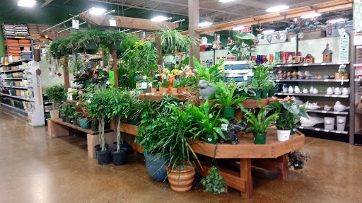 Home Improvement Store «Orchard Supply Hardware», reviews and photos, 10860 SW Barnes Rd, Portland, OR 97232, USA