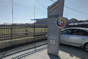 Stadionul FC Domnești image