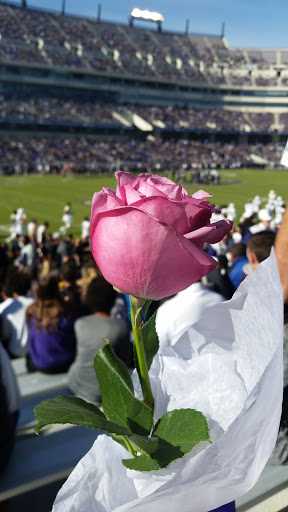 Stadium «Amon G. Carter Stadium», reviews and photos, 2850 Stadium Dr, Fort Worth, TX 76109, USA