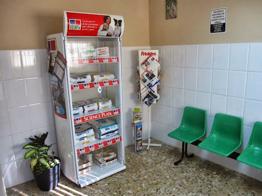 Clínica Veterinaria Monsalud Peluquería Canina en Zaragoza