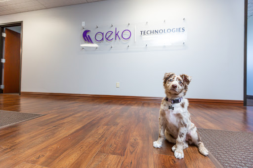 Aeko Technologies IT Services