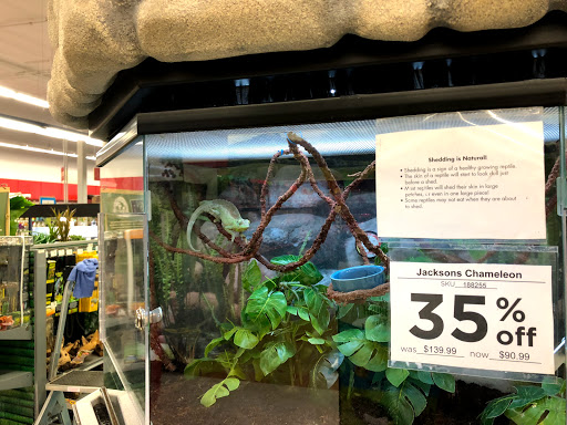 Petco