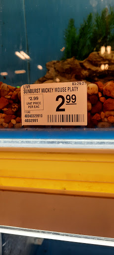 Pet Supply Store «PetSmart», reviews and photos, 198 Promenade Blvd, Flowood, MS 39232, USA