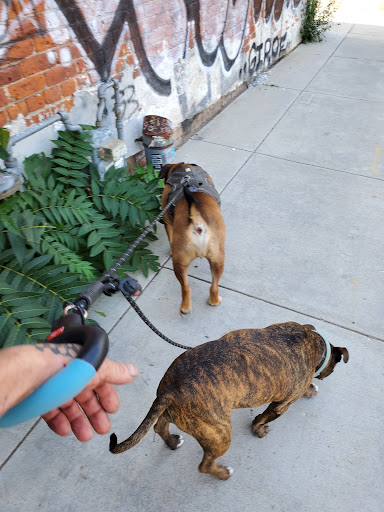 Convention Center «EXDO», reviews and photos, 1399 35th St, Denver, CO 80205, USA