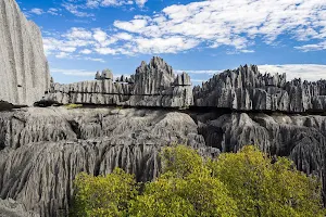Reserva natural de Tsingy de Bemaraha image