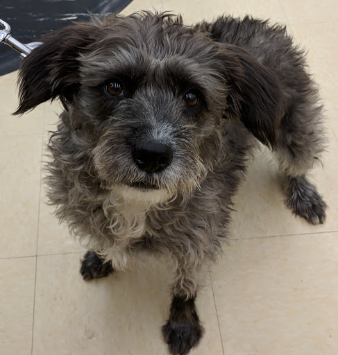 Pet Supply Store «Pet Supplies Plus», reviews and photos, 4808 Ridge Rd, Brooklyn, OH 44144, USA