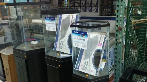 Tropical Fish Store «Midway Tropical Fish & Pets», reviews and photos, 24101 Pacific Hwy S, Kent, WA 98032, USA