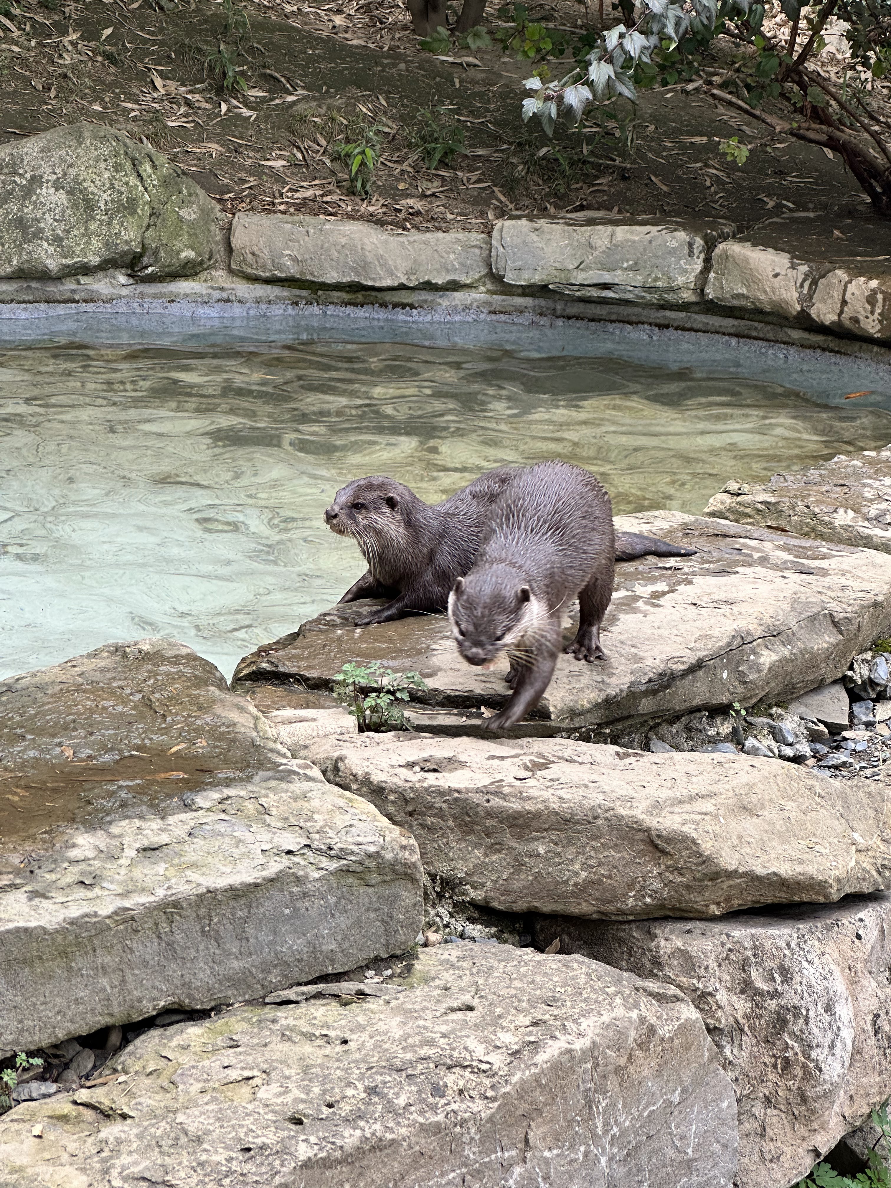 Photo n° 11 de l'avis de Tiffany.n fait le 25/09/2023 à 08:10