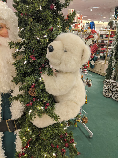 Department Store «Von Maur Eastview», reviews and photos, 300 Eastview Mall, Victor, NY 14564, USA