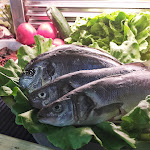 Photo n°6 de l'avis de Warner.R fait le 07/07/2022 à 10:08 sur le  Ristorante La Carretta à Massa