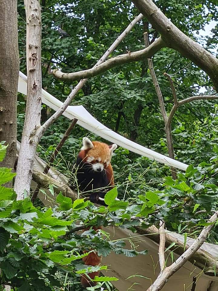 Photo n° 17 de l'avis de Maïté.e fait le 03/08/2022 à 19:24