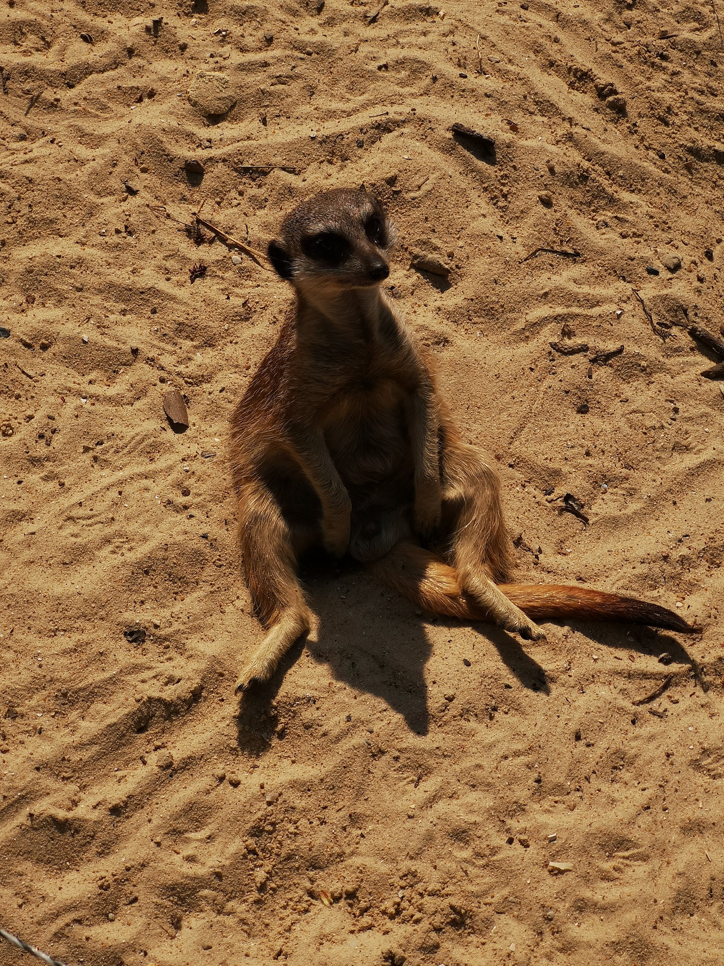 Photo n° 20 de l'avis de Bryan.r fait le 24/04/2018 à 19:19