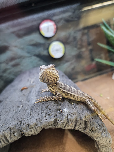 Pet Supply Store «Petco Animal Supplies», reviews and photos, 29560 W Seven Mile Rd, Livonia, MI 48152, USA