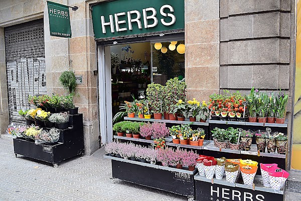 FLOWER SHOP DELIVERY BARCELONA