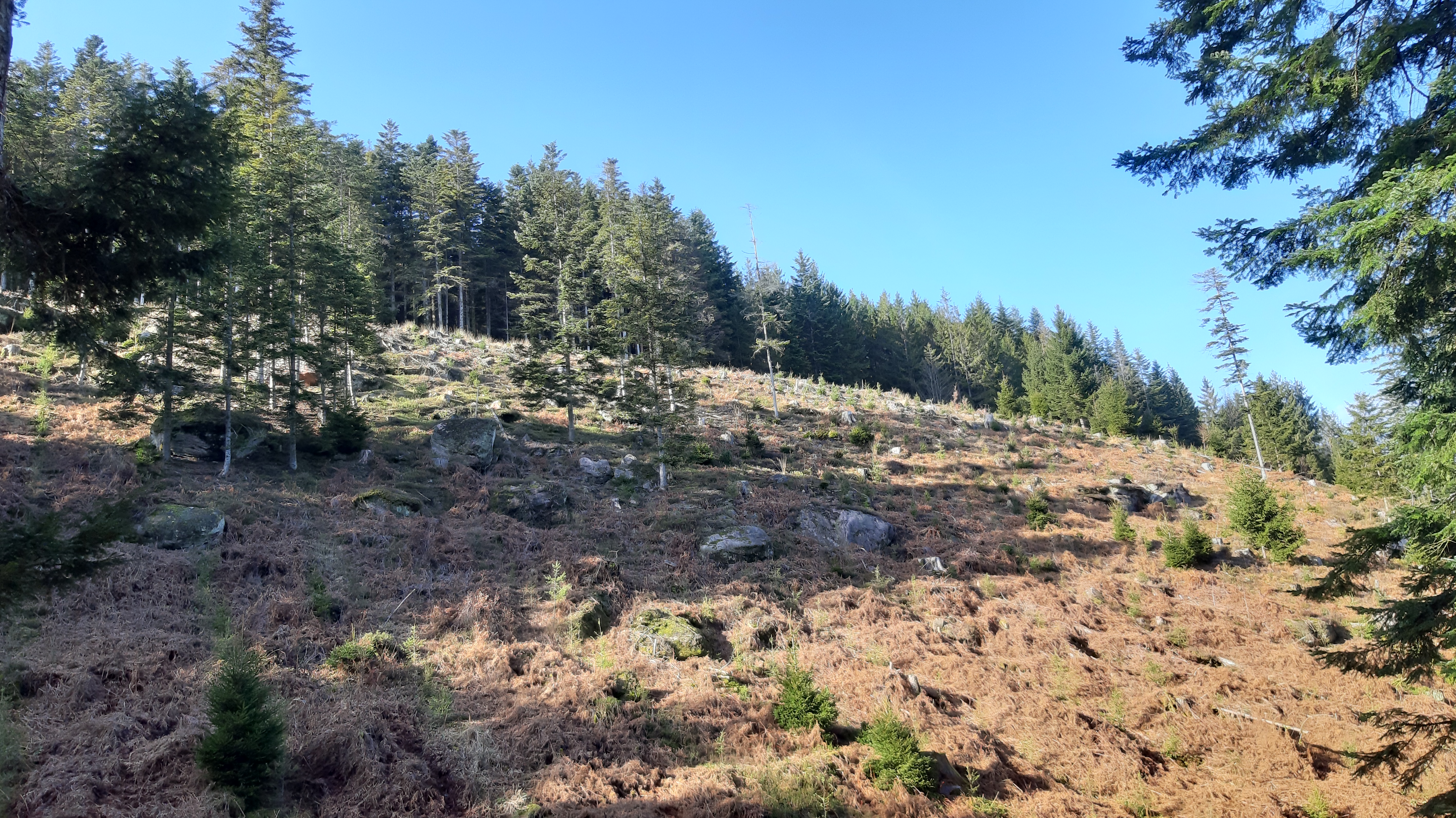 Photo n° 18 de l'avis de Magalie.a fait le 10/02/2020 à 19:38