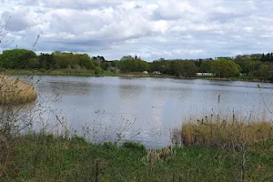 Forfar Loch Country Park image