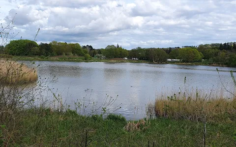 Forfar Loch Country Park image