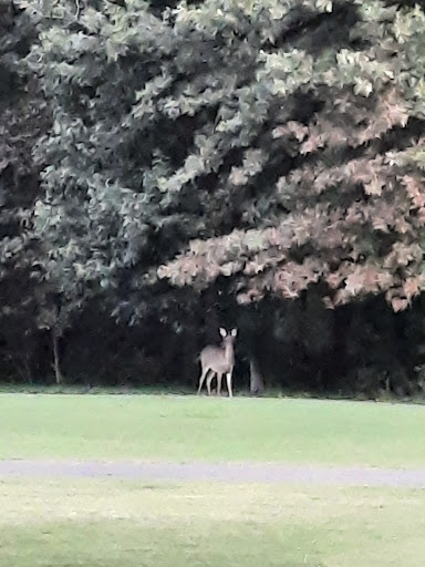 Public Golf Course «Hillandale Golf Course», reviews and photos, 1600 Hillandale Rd, Durham, NC 27705, USA