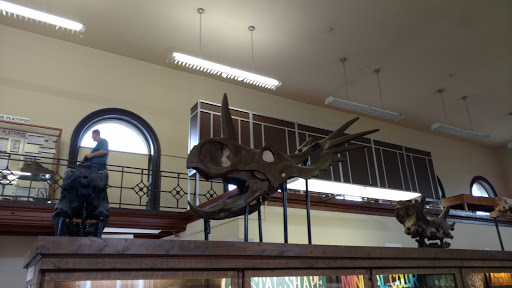 Museum «Rutgers Geology Museum», reviews and photos, 85 Somerset St, New Brunswick, NJ 08901, USA