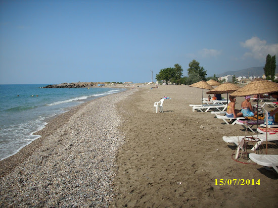 Cerenler Sahil