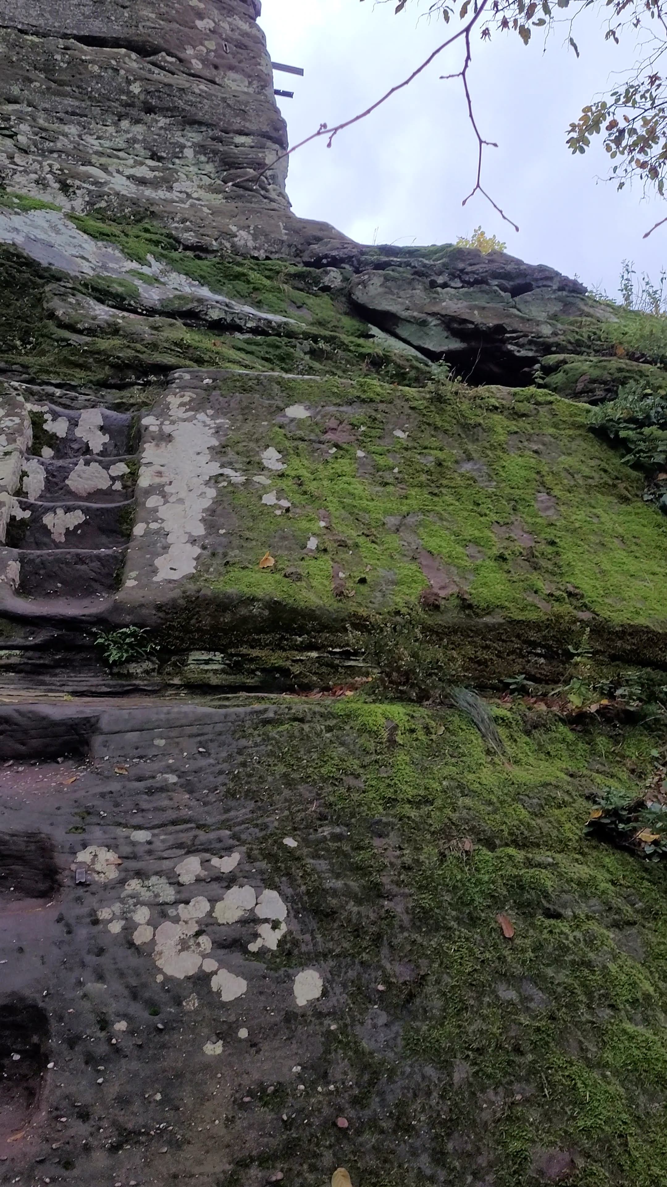 Photo n° 14 de l'avis de Verena.a fait le 31/10/2023 à 09:18