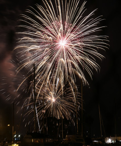 Burton Chace Park image