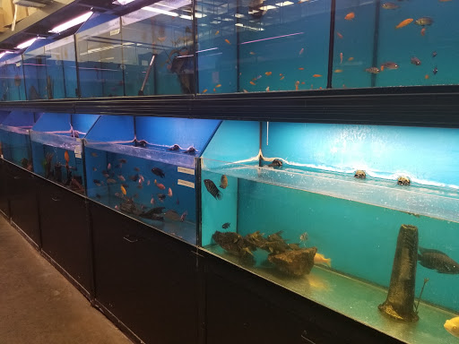 Pet Store «Super Pets», reviews and photos, 9403 E Las Tunas Dr, Temple City, CA 91780, USA