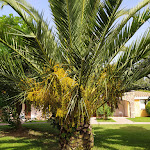 Photo n°2 de l'avis de Franco.e fait le 20/07/2021 à 14:20 sur le  Hotel Garden Beach à Castiadas