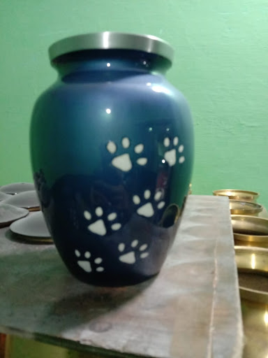 Funeral Home «Segal Funeral Chapel», reviews and photos, 3909 Henderson Blvd, Tampa, FL 33629, USA