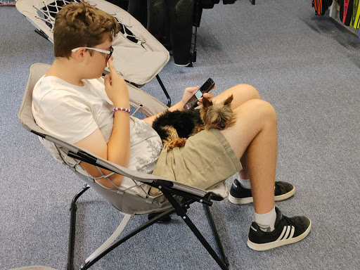 Dive Shop «The Dive Shop On McEver», reviews and photos, 3560 McEver Rd, Gainesville, GA 30504, USA